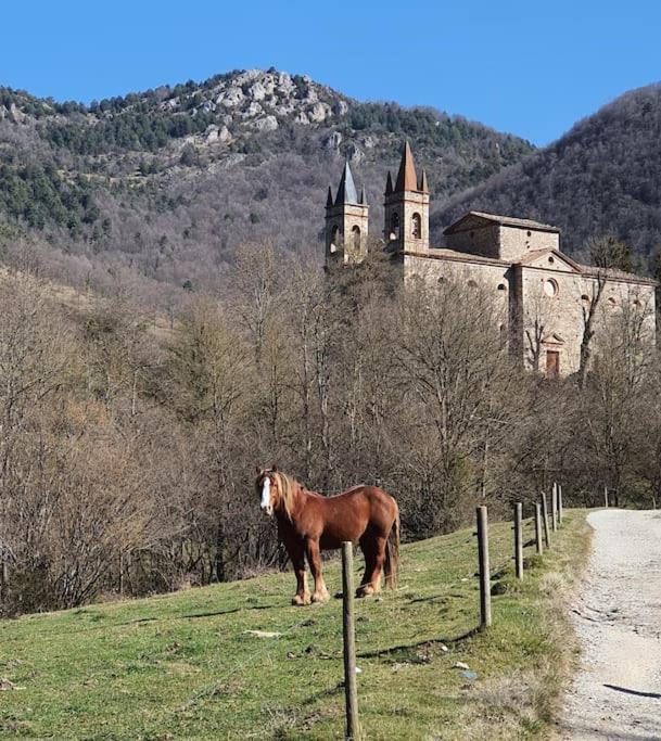 El Mussol De La Vila Camprodon, Balconets Amb Vistes A La Placa 外观 照片